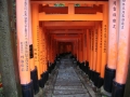Kyoto : Inari